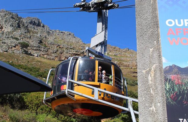 Table Mountain City Tour Camps Bay Kirstenbosch Gardens Plus All tickets Shared