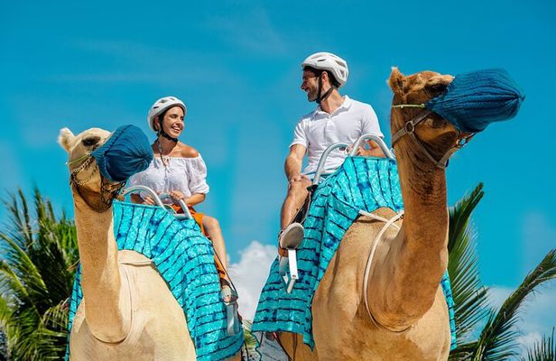 Camel Expedition and Beach Club In Riviera Maya