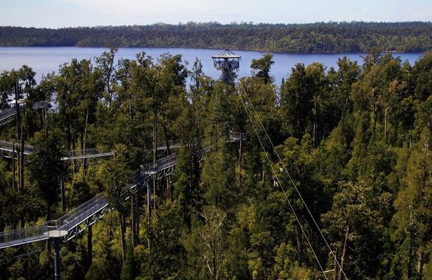2-Hour Tower Zipline and Walkway Combo Private Guided Activity