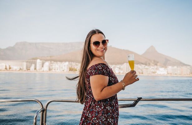 Cruise and Dine Lunch / Cape Town: Coastal Motor Cruise and 2-Course Lunch