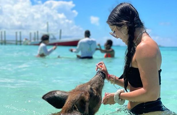 Bahamas: Swimming Pigs, Snorkeling, Beach Break Package