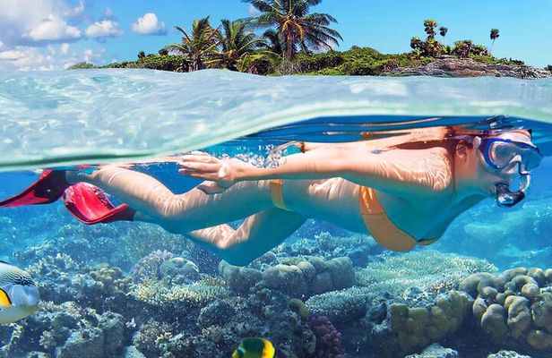 Catalina Island & Snorkeling Tour