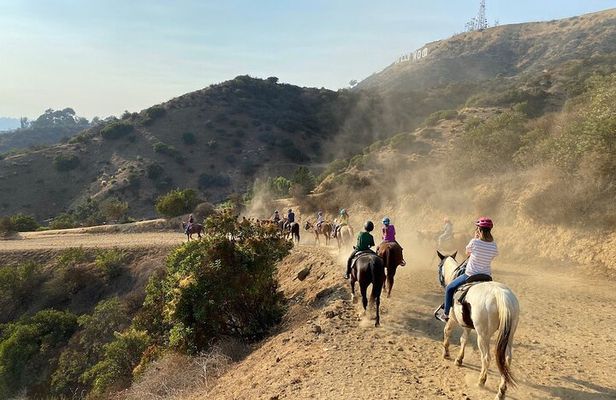Mulholland Trail Horseback Tour