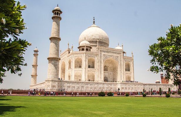 Skip The Line Taj Mahal and Agra fort Tour 