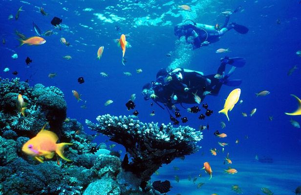 SCUBA DIVE: Kallithea's Underwater Exploration