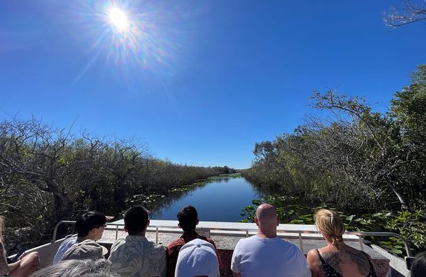 Everglades Airboat, Wildlife Show and free Photo