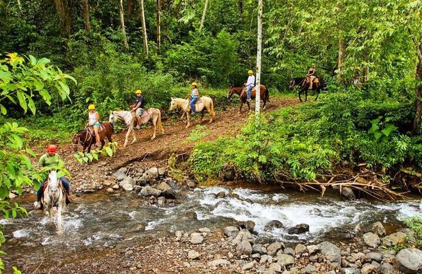 Educational Walk in the Rainforest Waterfall and Horse Ride