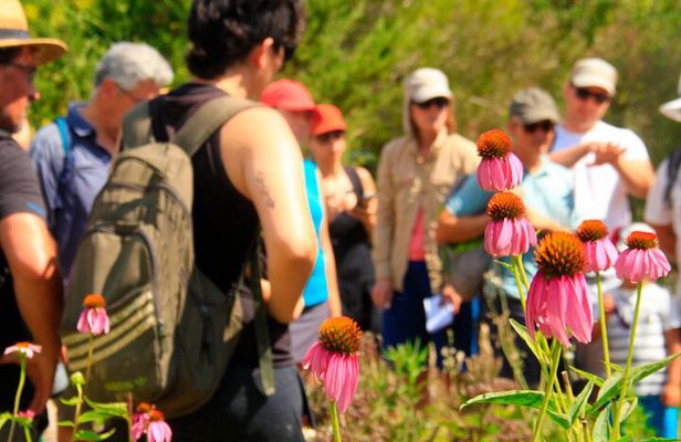 Aromatic Experience in the Medicinal Garden in Ibiza