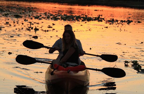 90-Minute Sunset paddle at Secret Lake Guided Kayak Tour in Casselberry