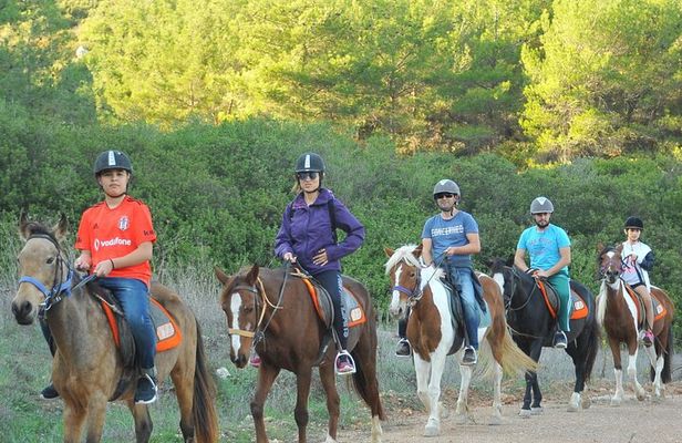 Ephesus Full-Day Tour with Horse Safari from Kusadasi Cruise Port max 10 people