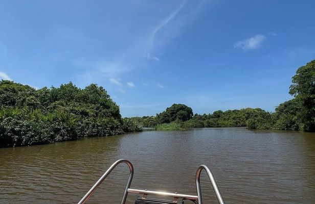 Negombo Lagoon & Muthurjawela Bird Watching Boat Tour