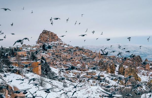 Mix Tour ( Combined Red+Green Tour) All Include (Small Group)