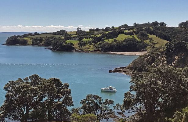 Private Personalised Tour in Waiheke Island