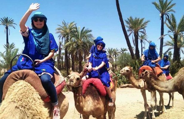 Marrakech Camel Ride in Palmeraie