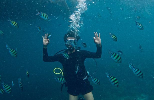 Blou lagoon snorkeling all incllusive