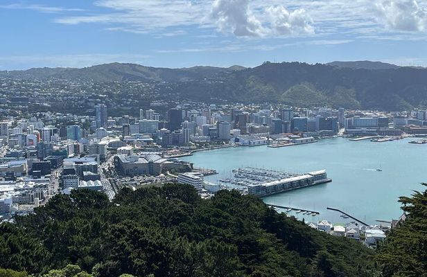 Wellington Full Day Private Tour in Electric Tesla SUV