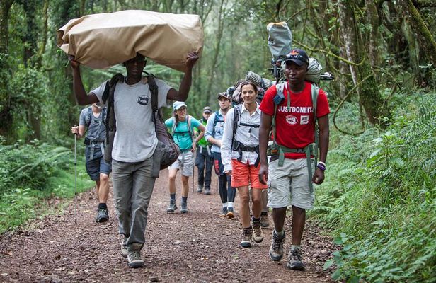 6-Day Guided Tour in Machame Route Mt Kilimanjaro