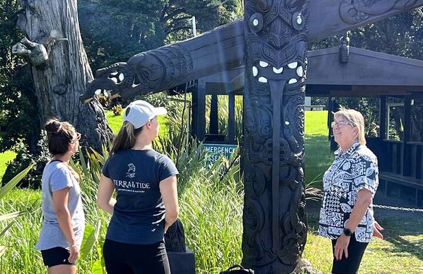 Waiheke Island History and Heritage Tour