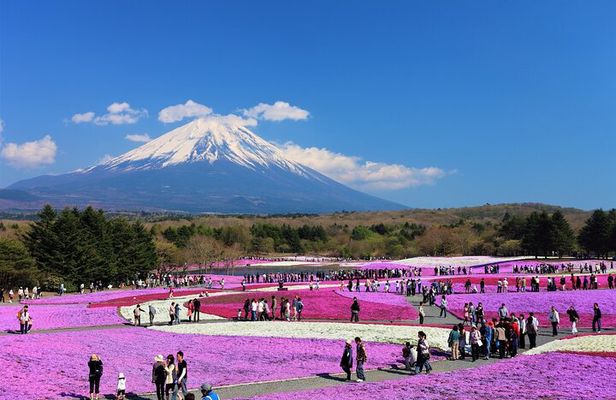 Mt. Fuji, Hakone Full-Day Private Tour with English Driver Guide