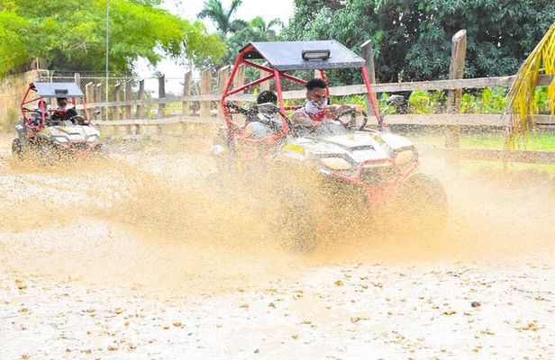 Punta Cana Family Buggy; cave pool, beach, coffee tasting