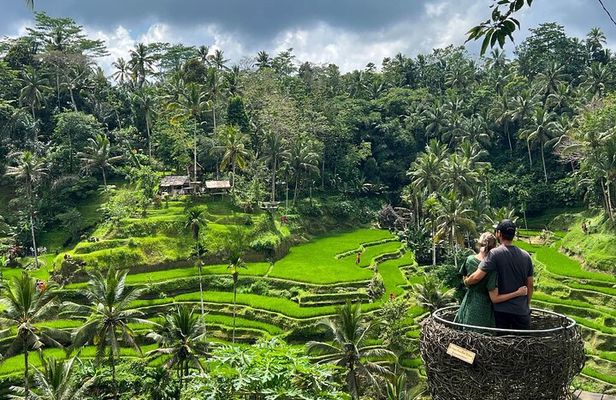 Ubud - All Inclusive Private Day Tour