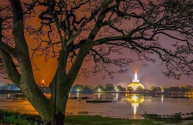 Aukana and Anuradhapura Day Tour From Colombo