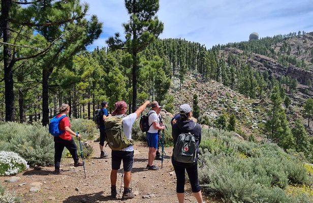 Full day Hiking Gran Canaria Peaks of Gran Canaria