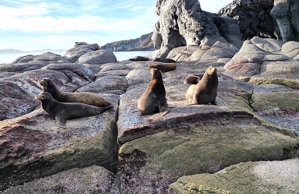 Tour a la Isla Coronados con actividad de esnorquel