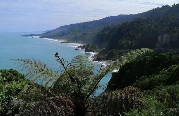 Full Day Tour of the Sights and Tastes of the West Coast