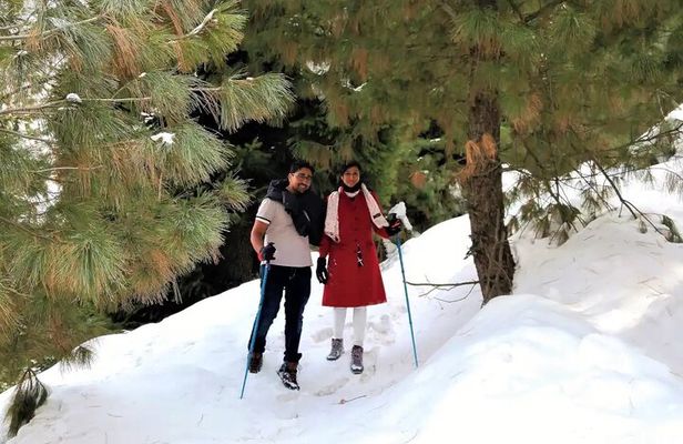 Full-day Trekking Tour to Mohanmarg Meadow