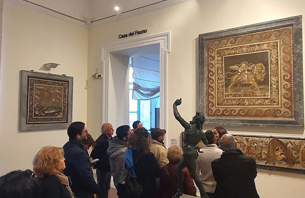 Private Tour of the National Archaeological Museum of Naples
