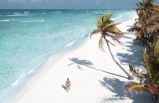 2x1 Tour: Isla Contoy, Isla Mujeres, Open Bar, Lunch and Transfers