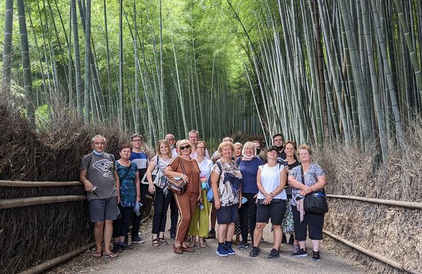 Kyoto: Arashiyama Bamboo, Temple, Matcha, Monkeys & secret spots