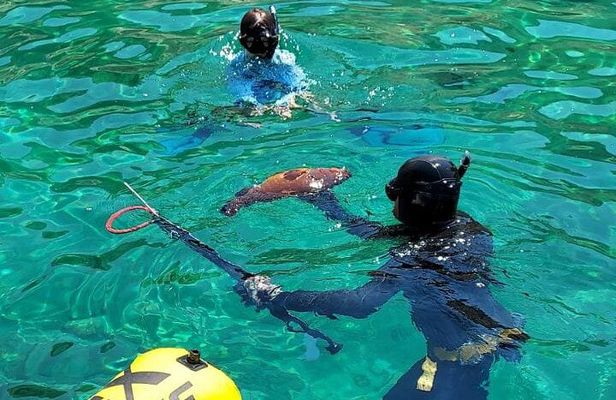 Spearfishing in Chania, Crete (price is per group)