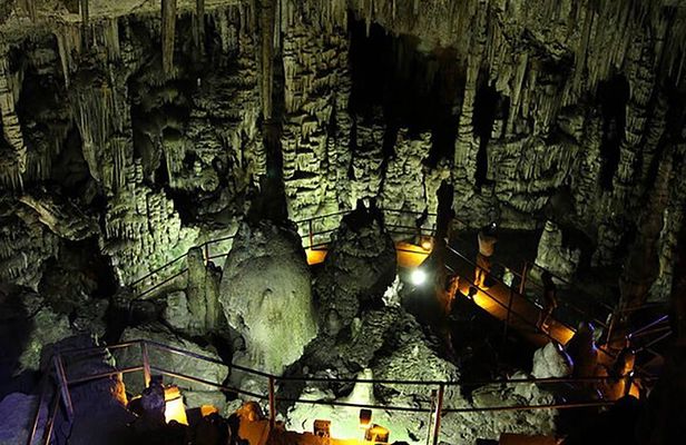Family Excursion: From Sea Wonders to Mythical Realms Adventure