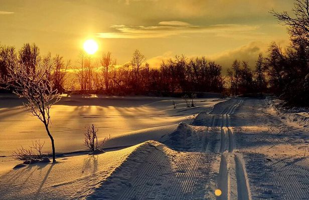 Experience Cross-Country Adventure in Tromsø