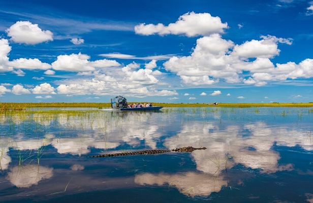 Everglades Small Group Express from Fort Lauderdale +Airboat Ride