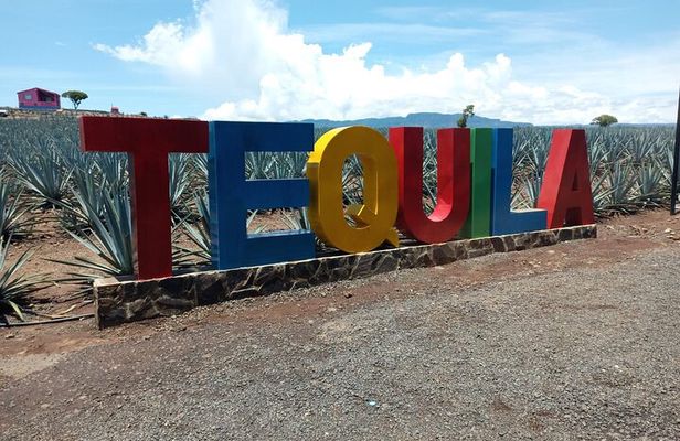 Private Tequila Tour in Guadalajara
