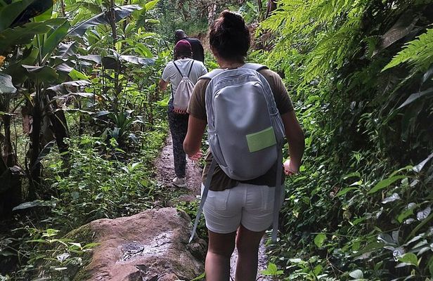 Materuni Waterfalls and Coffee Tour in Moshi