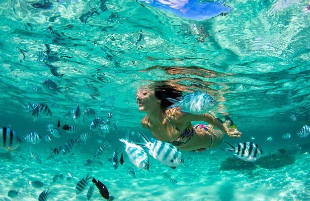 Phuket Coral Island Private Snorkeling Adventure All Inclusive