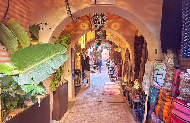 Guided Walking Tour of Marrakech
