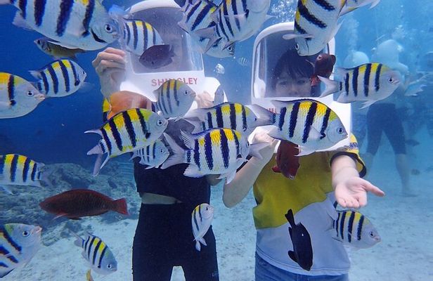Boracay Helmet Diving