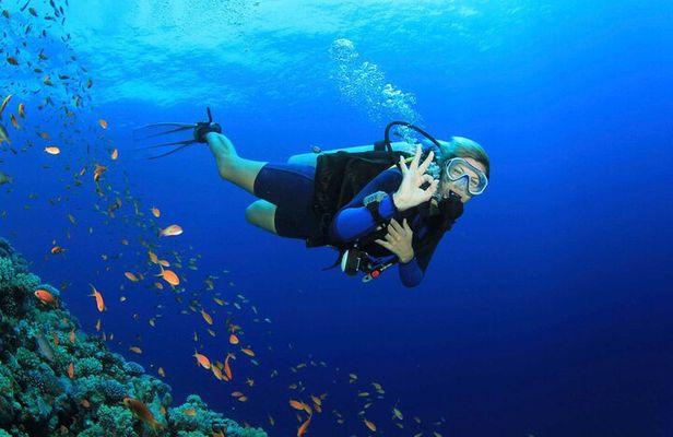 Kusadasi Scuba Diving Tour By Local Experts