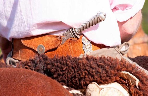 Traditional Gaucho Festival Full Day Tour from Buenos Aires