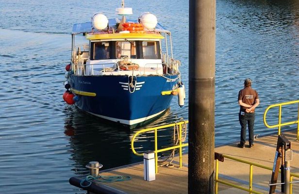 Howth Coastal Cruise and Dine Experience