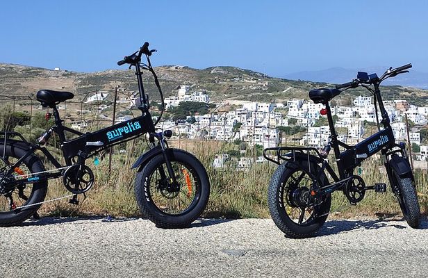 Naxos Private / Semi Private E-Bike Guided Tour Aegean Lush