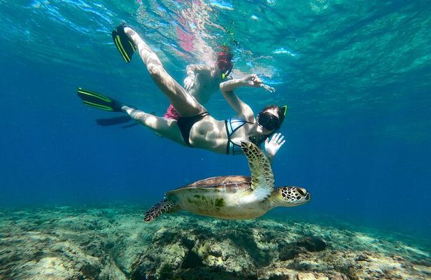 Snorkeling Adventure in Aguadilla