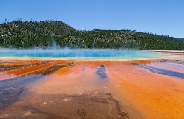 Full Day Yellowstone Nat'l Park Tour From West Yellowstone