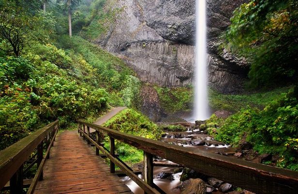 Columbia Gorge Waterfalls: Botanical Discovery Hike