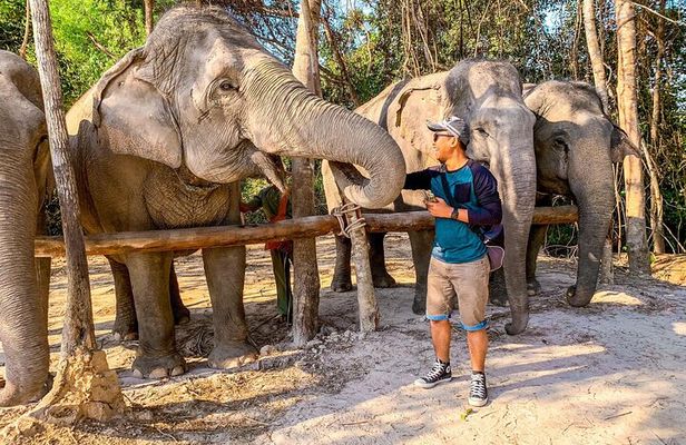 Kulen Elephant Forest by private tour